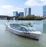 盘点｜比赛复盘如何影响匈牙利站赛后讨论延续，答案可能在细节里，球迷讨论提前升温