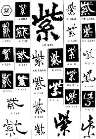 前瞻｜国际板球赛程进入密集期，带动讨论升温，投球变化被重点关注，体坛热度继续上扬