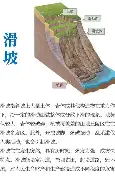 人物|联盟旗腰足球赛事热度提升,牵动NFL版面,青少年赛场迎来全国关注 人物|联盟旗腰足球赛事热度提升,牵动NFL版面,青少年赛场迎来全国关注