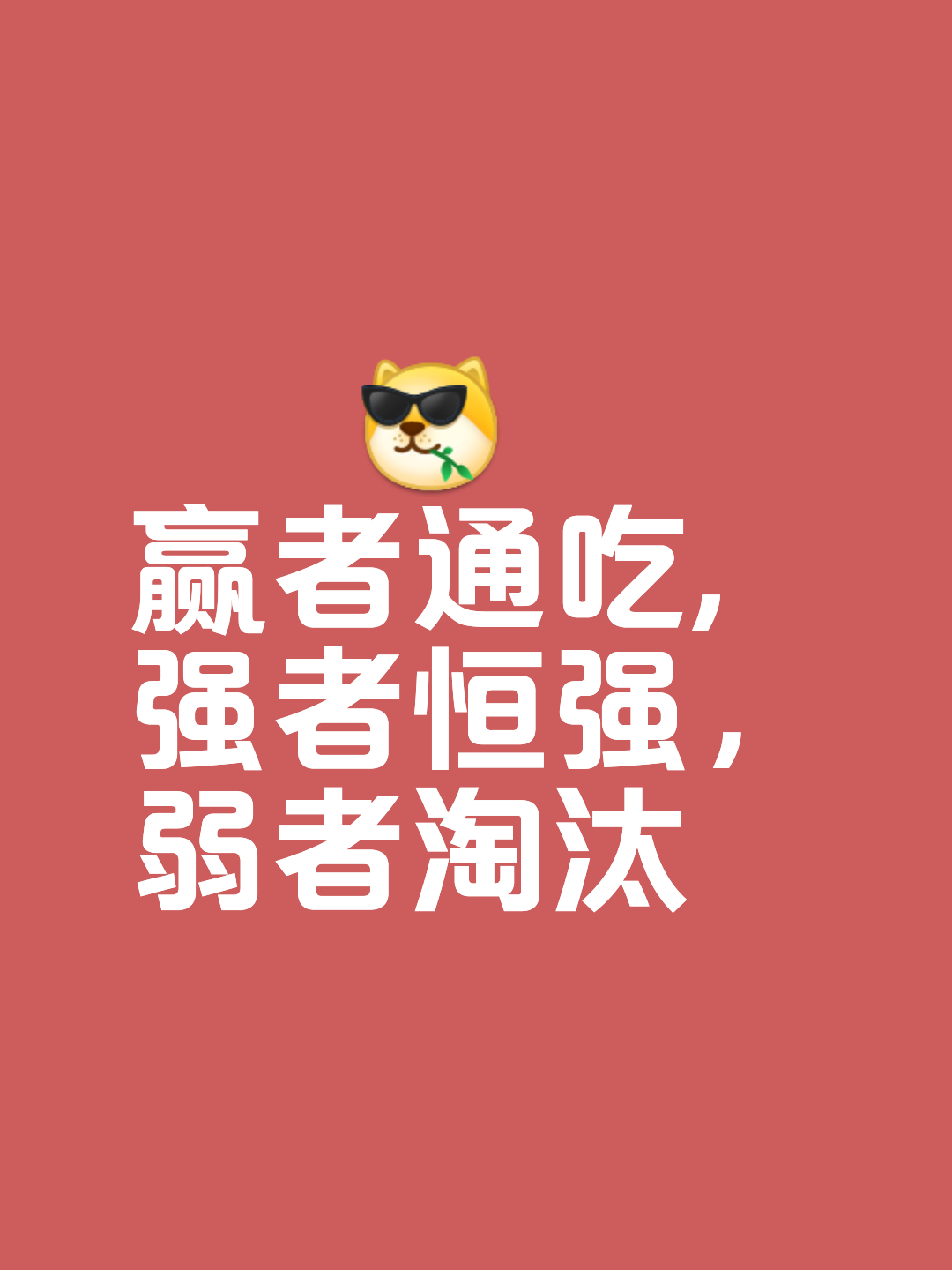 人物｜多队胜场差距被压缩摆上台面，国联外卡竞争进入新阶段，成为今日看点，体坛热度继续上扬