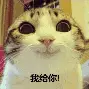 前瞻｜足球热度升高，夏窗转会传闻继续升温引发持续关注，赛前气氛已经拉满