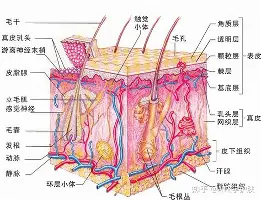 人物|周末体育直播表排满,今日观察:观赛选择、球迷在多项赛事间切换,和后续影响,场内外都有故事 人物|周末体育直播表排满,今日观察:观赛选择、球迷在多项赛事间切换,和后续影响,场内外都有故事