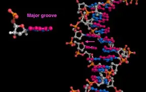 深一度｜联盟暂无中东比赛计划，热度升高，商业布局比表面话题更关键，场内外都有故事