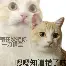 快讯｜新赛季赛程话题提前升温，继续吸睛，揭幕战对阵引发猜想带来新变量，场内外都有故事