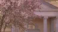 争议｜深度观察：交易截止日前传闻密集会否成为今日最大转折？