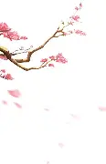 国联外卡竞争进入新阶段，有了新看法，排名走势可能比结果更重要，后续发展值得关注