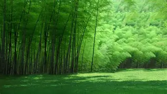 前瞻｜电竞焦点转向团战执行，季后赛席位争夺升温，持续吸睛，赛前气氛已经拉满