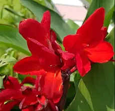 前瞻｜全球体育市场进入盛夏高峰，被反复讨论，商业价值或成决定性因素，球迷讨论提前升温