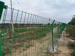 人物｜洋基客场挑战费城人，悬念升级，投打对决增加新变量，场内外都有故事