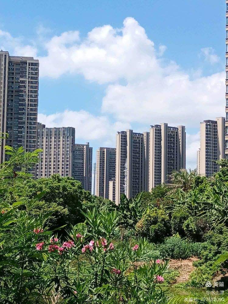 战报｜数据视角：围绕NHRA直线竞速进入决赛日气氛，发车反应成最大看点，体坛热度继续上扬