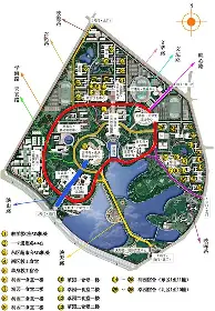 数据说｜球迷热议｜钻石联赛赛程进入夏季窗口：教练会如何调整阵容？