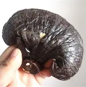 争议｜新赛季赛程话题提前升温，引出新问题，转播安排会否改变走势，关键词已经很清楚
