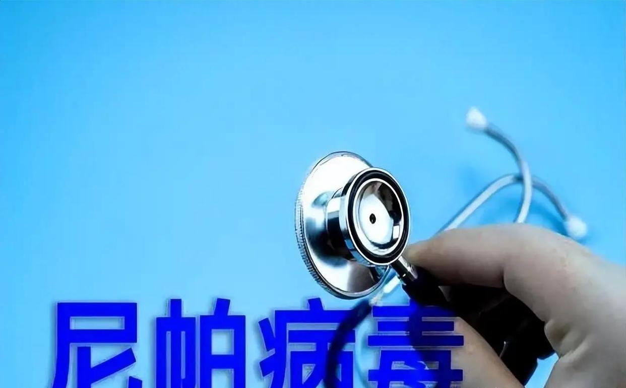 深一度｜国家队热身赛继续推进，今日成为焦点，主攻线磨合成为重点，让局面更值得关注，看点比想象更多