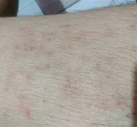 观察｜赛车今日不缺话题，纳斯卡印第安纳波利斯周末升温，率先点火，体坛热度继续上扬