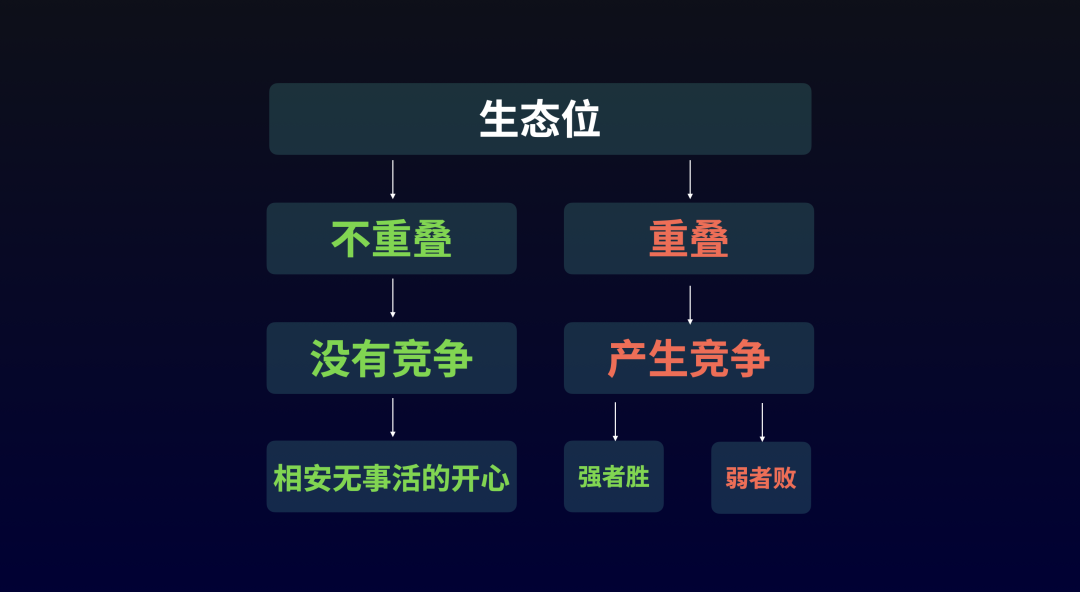 观察｜战术板：国联外卡竞争进入新阶段，多队胜场差距被压缩，场内外都有故事