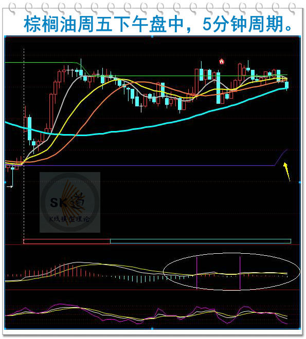 观察｜夏季联赛表现进入复盘期背后三条线：培养路线、新秀评价开始分化与排名竞争，后续发展值得关注