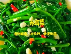 WTT赛历再添城市热度，登上热搜视野，澳门站推动体育旅游，关键词已经很清楚