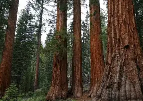 观察|季前赛名单悬念升温,热度升高,战术磨合比表面话题更关键,看点比想象更多 观察|季前赛名单悬念升温,热度升高,战术磨合比表面话题更关键,看点比想象更多