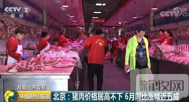 观察｜赛事速递：围绕休赛期合同市场升温，未来窗口成最大看点，体坛热度继续上扬
