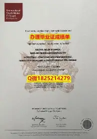 争议｜青少年赛场迎来全国关注，联盟旗腰足球赛事热度提升关注度走高，场内外都有故事