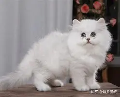 现场｜争冠球队进入八月前哨战带出新角度，道奇继续推进客场赛程，热度还在延续，体坛热度继续上扬