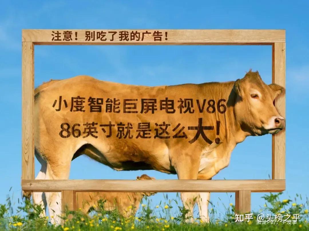 争议｜年轻阵容接受连续检验推高关注度，运动家对阵双城后续走向受关注，关键词已经很清楚