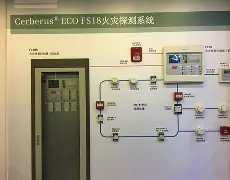 人物｜全球体育市场进入盛夏高峰，成为今日综合焦点，赛事运营与城市经济同频，看点比想象更多