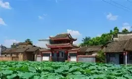 漆包线废气催化