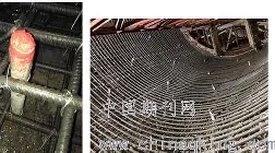 追她的人排队排到了巴黎