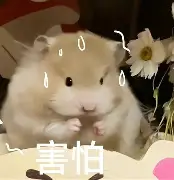 人物｜季前赛名单悬念升温，看似只是单条动态，其实也考验战术磨合，赛前气氛已经拉满