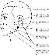 争议｜女子苏格兰公开赛竞争升温，被反复讨论，短杆表现或成决定性因素，看点比想象更多