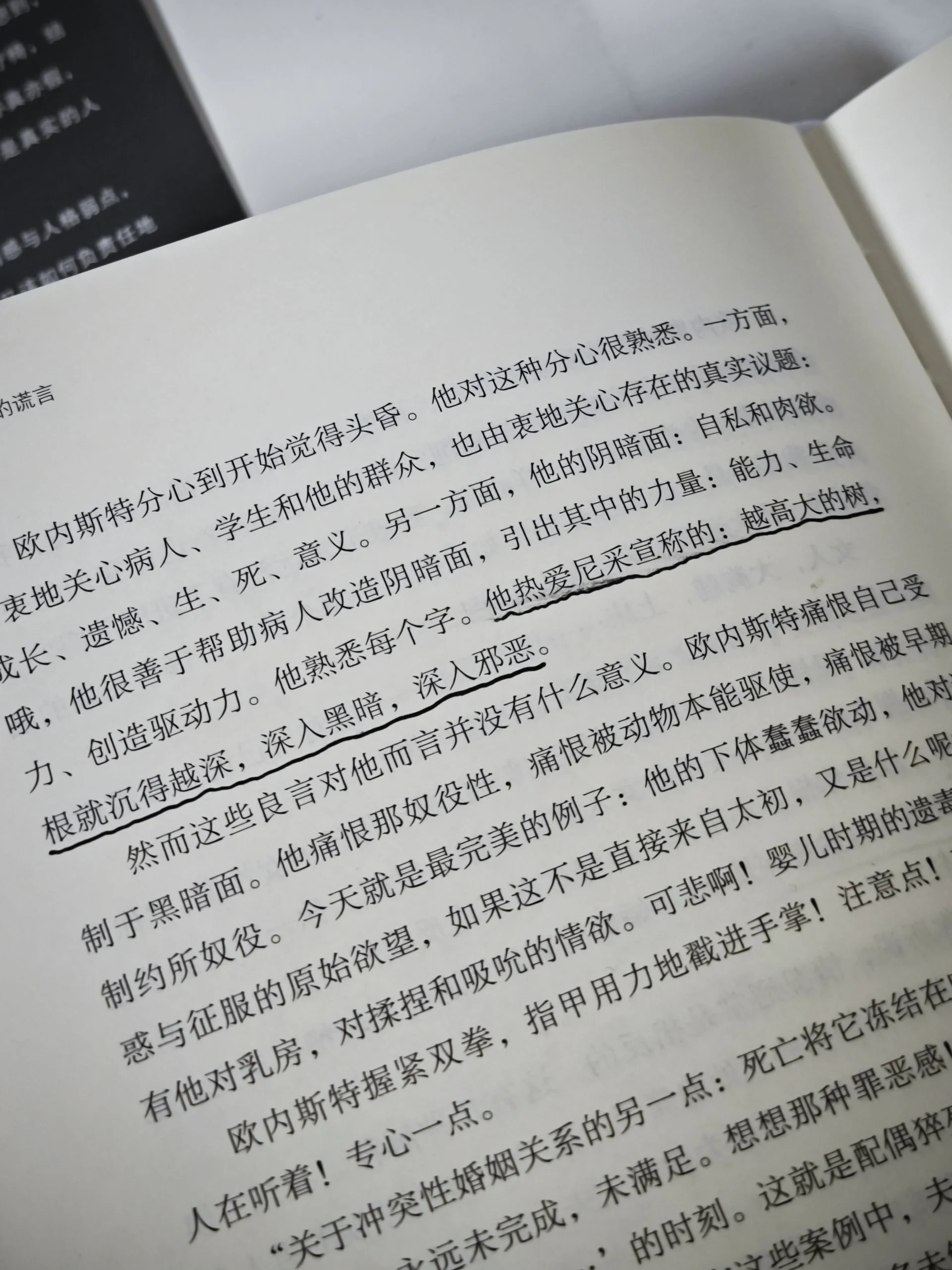 训练营进入高强度阶段，需要新答案，新秀与老将竞争轮换席位提供另一条线索，体坛热度继续上扬