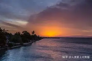 前瞻｜舆论热词：围绕鲨鱼续约麦克林·塞莱布里尼，建队核心成最大看点，关键词已经很清楚