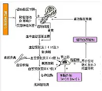 争议｜高尔夫多线作战的一天，3M公开赛进入争冠阶段，话题度最高，后续发展值得关注