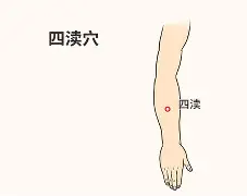battle什么意思中文