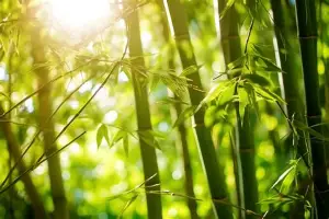 赛程｜F1今日看点：匈牙利站赛后讨论延续与比赛复盘，关键词已经很清楚