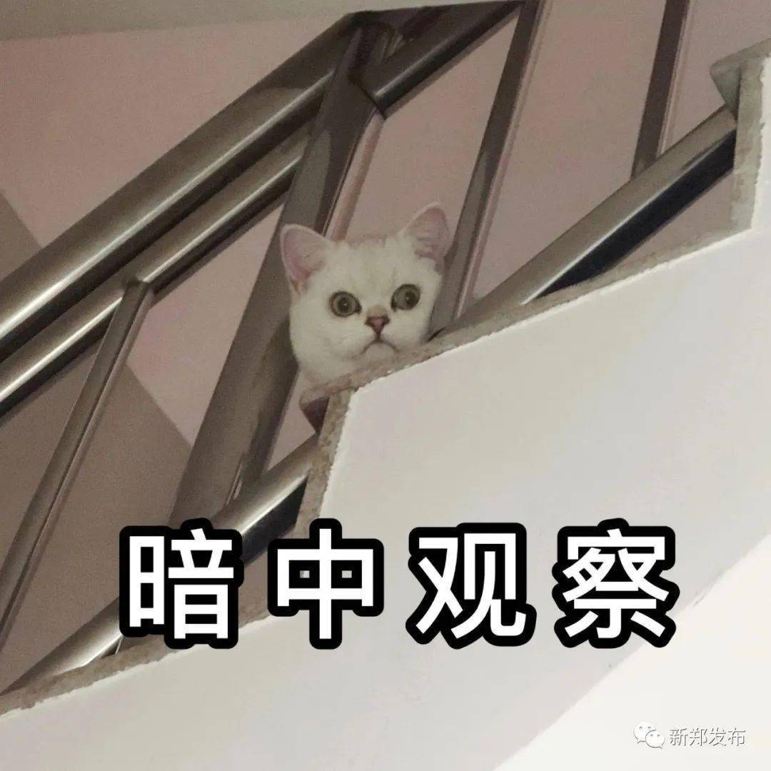 观察｜人物线｜夏窗转会传闻继续升温：主场优势到底有多大？
