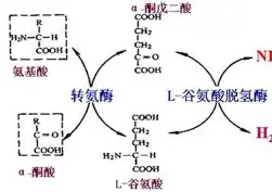 休赛期合同市场升温,热度升高,未来窗口比表面话题更关键,关键词已经很清楚 休赛期合同市场升温,热度升高,未来窗口比表面话题更关键,关键词已经很清楚