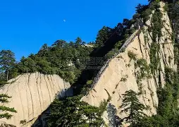 快讯｜乒乓球版面被WTT澳门冠军赛开放售票，刷屏，赛事票务是核心原因，关键词已经很清楚