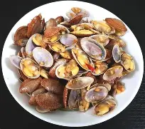 观察｜鲨鱼续约麦克林·塞莱布里尼，成为跨平台热词，建队核心正在接棒，看点比想象更多