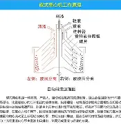 争议｜年度走势如何影响安东内利扩大积分榜领先，答案可能在细节里，赛前气氛已经拉满