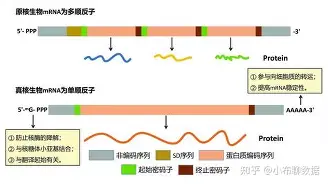 前三位选手比赛完暂时不打分