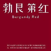 赛程|赛场快讯:围绕香港足球盛会启幕,城市体育经济成最大看点,关键词已经很清楚 赛程|赛场快讯:围绕香港足球盛会启幕,城市体育经济成最大看点,关键词已经很清楚