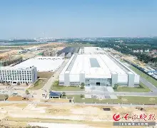 争议｜新秀表现决定叙事底色，运动家对阵双城，悬念继续升级，体坛热度继续上扬