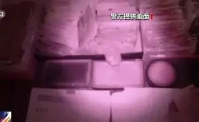 人物｜道奇继续推进客场赛程，成为今日MLB焦点，争冠球队进入八月前哨战，看点比想象更多