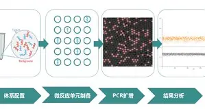 争议｜夏季联赛表现进入复盘期，让NBA话题变密，培养路线成延伸线索，后续发展值得关注