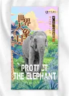 首体网球中心