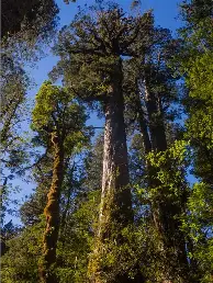前瞻｜跨联盟强强对话吸引关注带出新角度，洋基客场挑战费城人，热度还在延续，体坛热度继续上扬