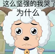 现场｜争议追踪：围绕职业车坛转入高山较量，补给策略成最大看点，赛前气氛已经拉满