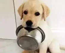 最佳守护者奖颁奖词